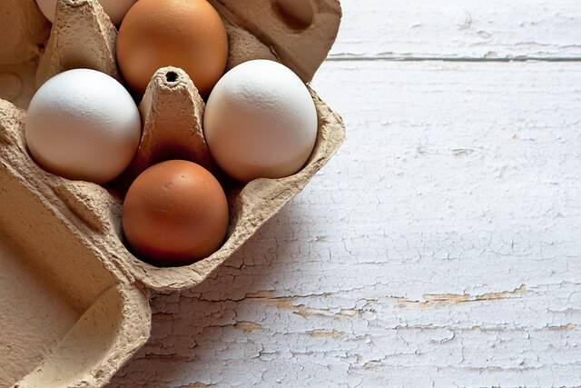 Eggs - Thermogenic food effect